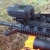 Mount for Rail Picatinny on Sports  Rifle